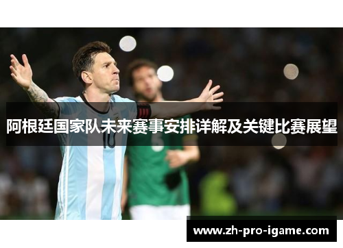 阿根廷国家队未来赛事安排详解及关键比赛展望