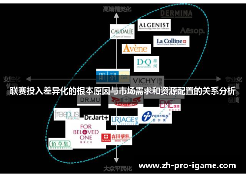 联赛投入差异化的根本原因与市场需求和资源配置的关系分析