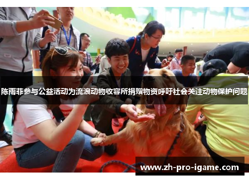 陈雨菲参与公益活动为流浪动物收容所捐赠物资呼吁社会关注动物保护问题 陈雨菲参与公益活动为流浪动物收容所捐赠物资呼吁社会关注动物保护问题